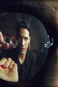 Matrix, The